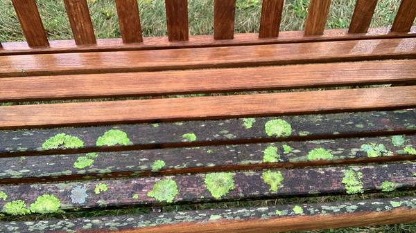 Wood bench restoration and staining in Quogue NY