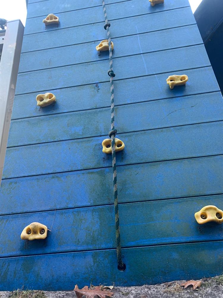 Blue play set climbing wall covered in green algae before power washing