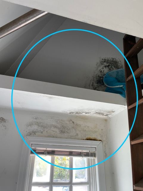 Water-stained, damaged drywall above a pool house window before repair
