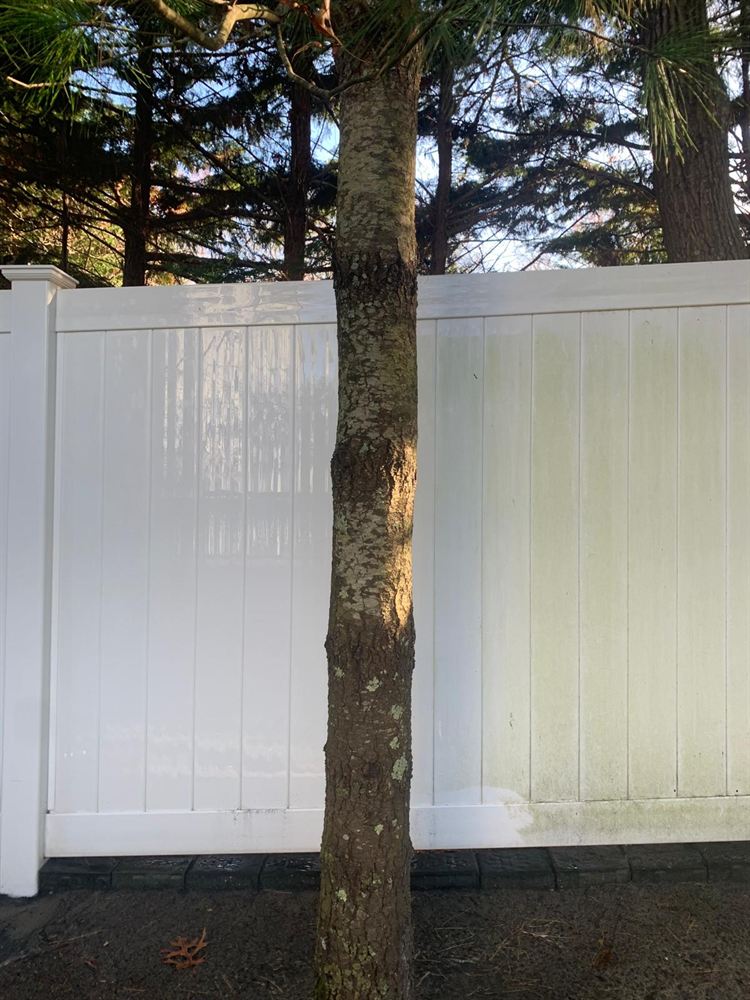 White vinyl fence stained with green algae before power washing